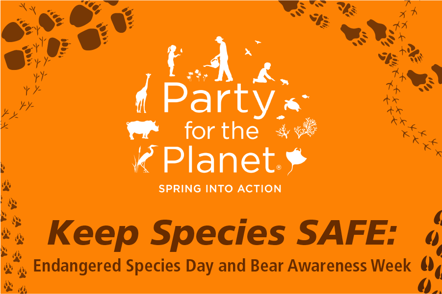 Keep Species SAFE Celebrating Endangered Species Day and Bear