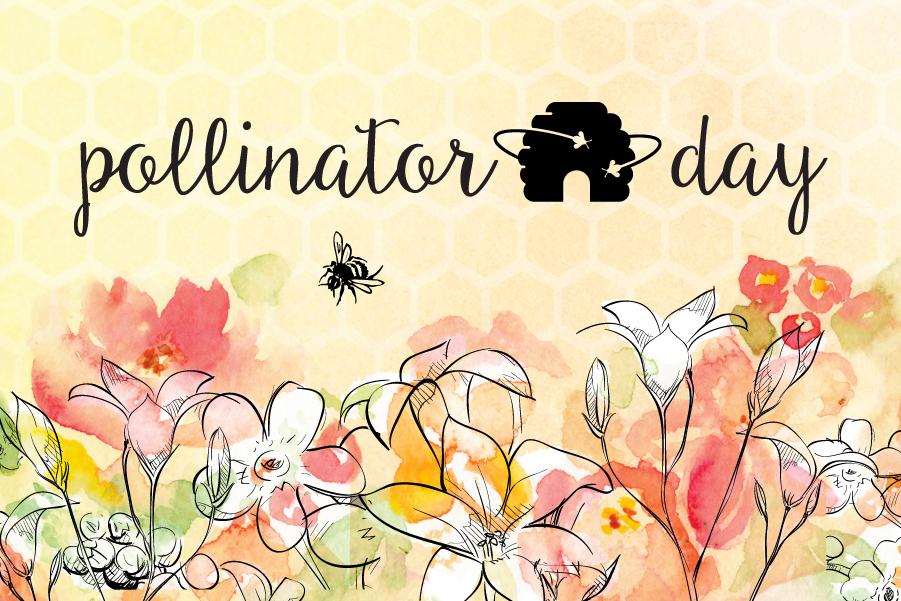 Pollinator Day - Museum of Life and Science