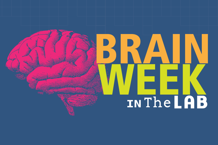 Brain Week in The Lab Museum of Life and Science